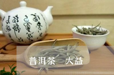 普洱茶 大益/2023042962421